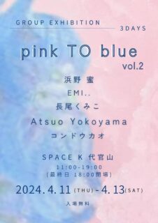 pink TO blue  vol.2