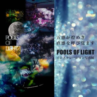 POOL OF LIGHT-ひだまり-